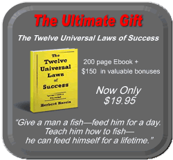 Twelve Universal Laws of Success Ebook
